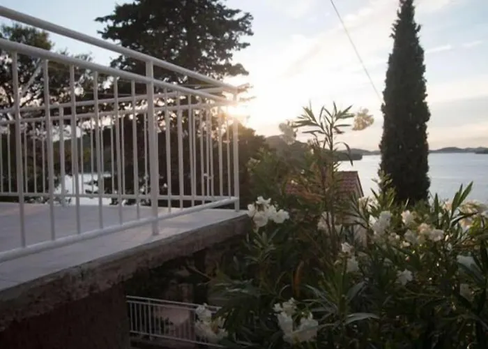 아파트 Mip 티스노